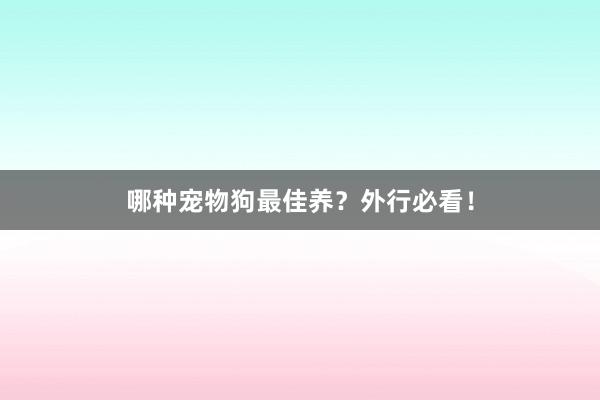 哪种宠物狗最佳养？外行必看！