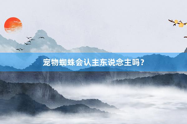 宠物蜘蛛会认主东说念主吗？